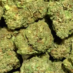 Purple Cream — Indica Strain — THCa Flower — 29.17% — Light Dep - Image 2