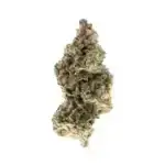 Gorilla Glue #4 THCa Flower Indica