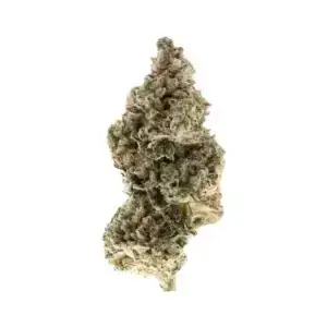Gorilla Glue #4 THCa Flower Indica