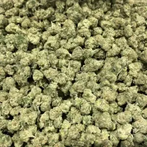 Mafia Funeral THCa Flower Indica