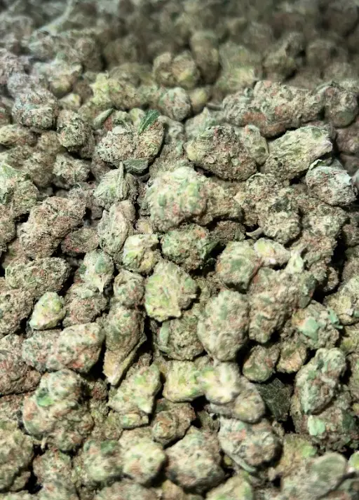 Frosty (S)