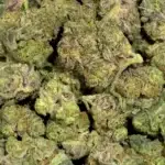 Red Bull THCa Flower Indica Smalls