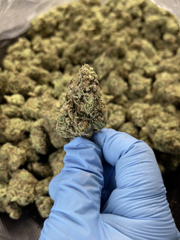 Slush Mintz THCa Flower Hybrid