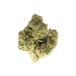 Blue Rhino #2