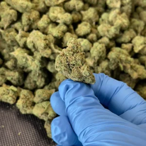 Blue Rhino