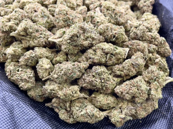 CrÃ¨me BrÃ»lÃ©e THCa Flower Indica