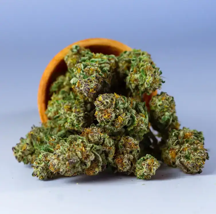 The Texas State flag with giant cola of growing cannabis, and the placard - Buy Wholesale Texas THCa Flower Your Ultimate Guide for Retail Success @ FrostyClub.com BLOG - Best Wholesale THCa Flower!