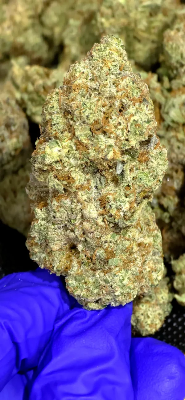 Cherry Cheesecake THCa Flower Indica Cherry Cheesecake THCa Flower Indica