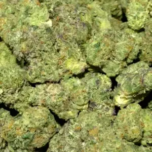 Birthday Cake (Med)