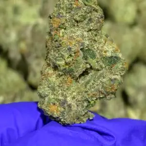 Birthday Cake (Med)-2
