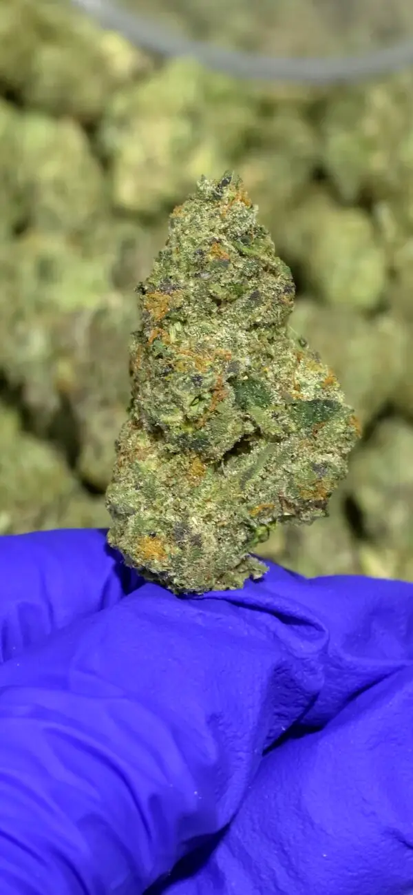 Birthday Cake (Med)-2 Birthday Cake (Med)-2