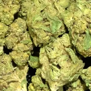 Blue Gummy Smalls