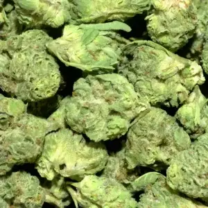 Blue Rhino #2 Smalls