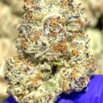Tyson THCa Flower Indica