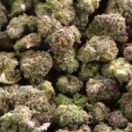 Crazy Hazey Smalls THCa Flower Sativa