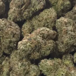 Grape Octane—Indica Strain—THCa Flower—31.31%—Private Reserve - Image 1