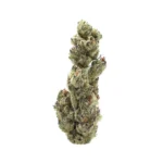 Cherry Pop Tart THCa Flower Indica
