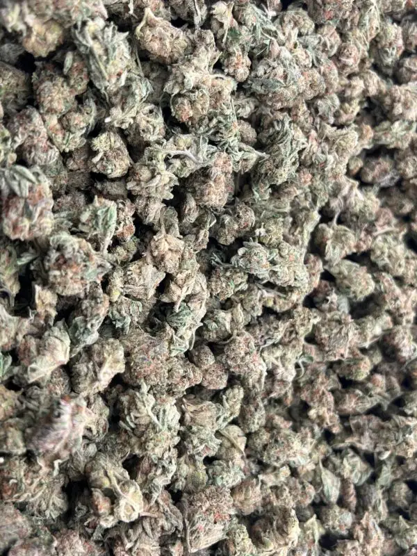 Guava Runtz Smalls THCa Flower Hybrid