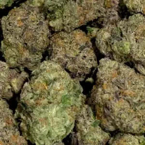 9 LB Hammer - Indica Strain - 40.93% THCa @ FrostyClub.com THCa Wholesale Pros