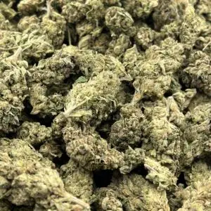 Apple Fritter THCa Flower Indica