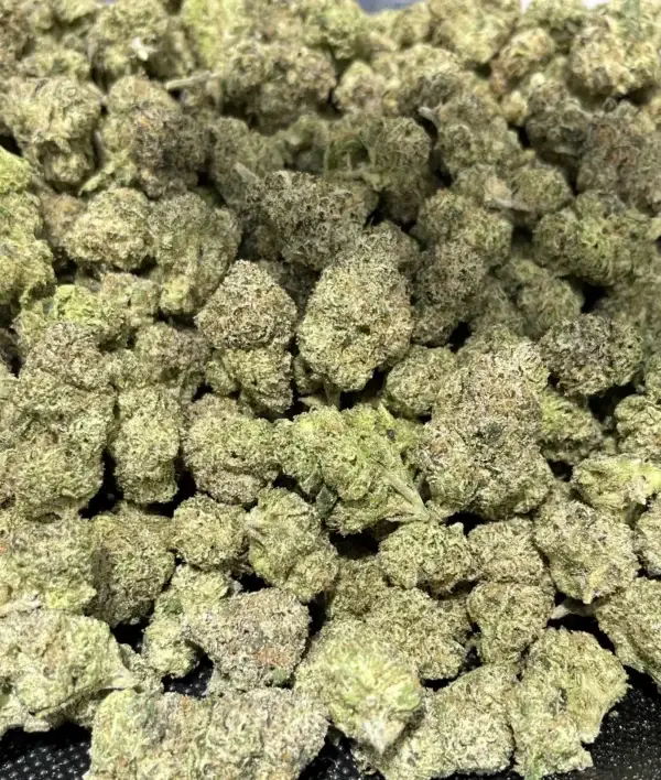 Cookies N Cream THCa Flower Indica