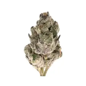 Dirty Girl THCa Flower Sativa