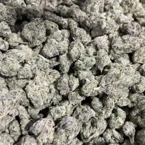 Dirty Girl THCa Flower Sativa
