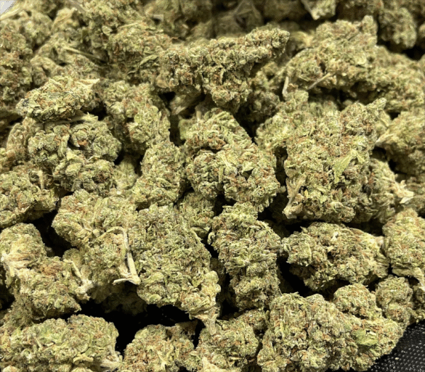 Jamaican Dream THCa Flower Sativa