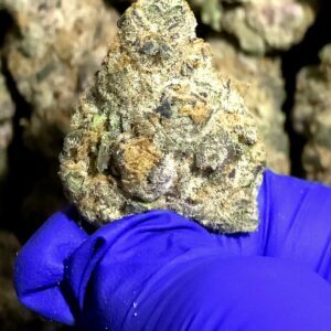 Cheetah Breath THCa Flower Hybrid