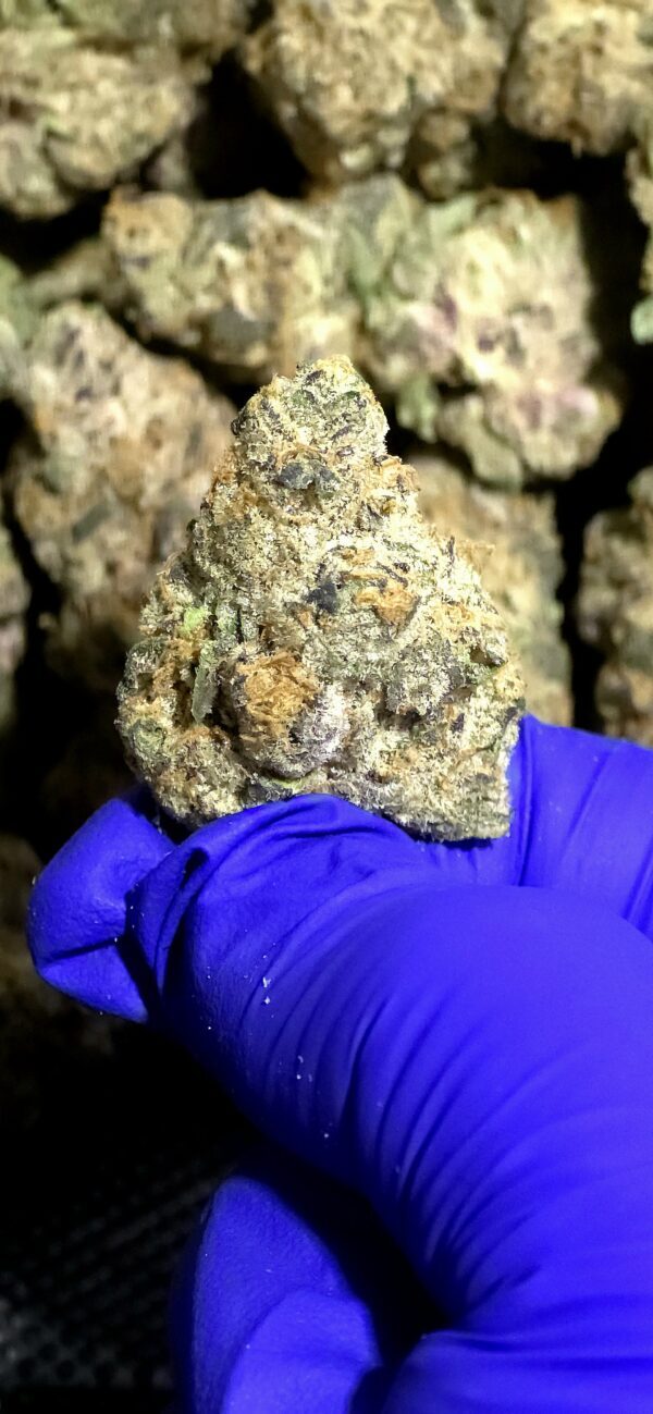 Cheetah Breath THCa Flower Hybrid