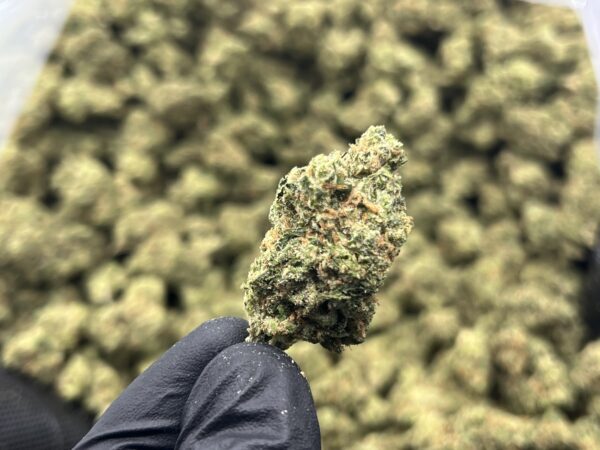 Durban Haze THCa Flower Sativa