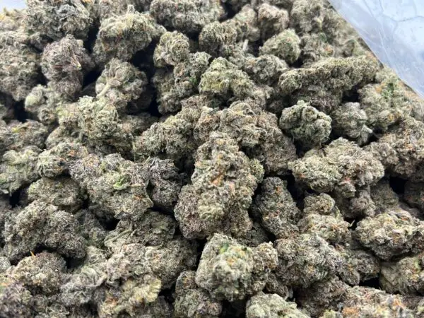 Black Jack THCa Flower Indica