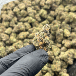 Gorilla Grip – Indica Strain – Wholesale THCa Flower - 34.35% – Private Reserve @ FrostyClub.com