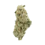 Lemon Vuitton — Sativa Strain — Exotic THCa Flower — 32.61% @ FrostyClub.com - Wholesale Pros w/ Fast Shipping!