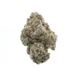 Orange Slushie THCa Flower Indica