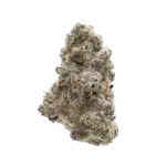 Zookies – Wholesale THCa Flower Hybrid Strain – 34.54% – Private Reserve @ FrostyClub.com - Fast Shipping!