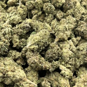 Apple Fritter THCa Flower Indica