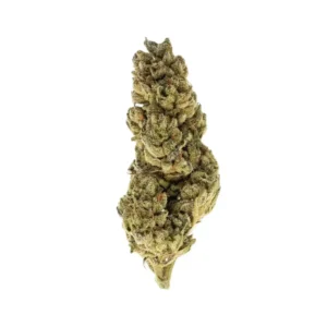 Oreoz #3 THCa Flower Hybrid