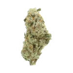 Lemon Vuitton — Sativa Strain — Exotic THCa Flower — 32.61% @ FrostyClub.com - Wholesale Pros w/ Fast Shipping!