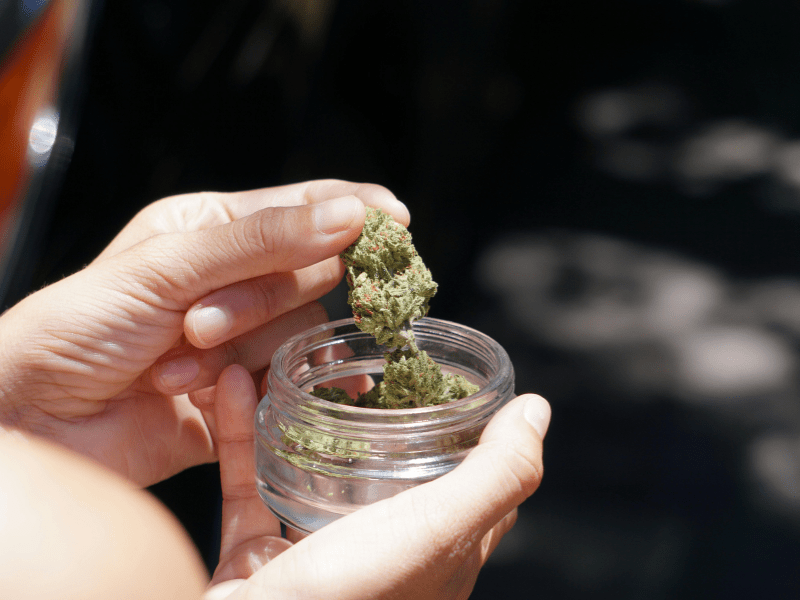 Retailer restrictions for THCa in Alabama