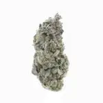 Apple Fritter THCa Flower Indica