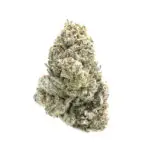 Double Runtz THCa Flower Indica