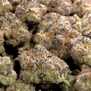 Grape Stomper THCa Flower Sativa