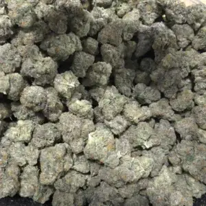 Memory Loss — Sativa Strain — THCa Flower — 42.37% — Private Reserve - Image 2