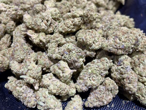 Red Headed Stranger THCa Flower Sativa