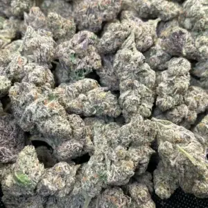 Frosty - 41.86% THCa - EX - Image 2
