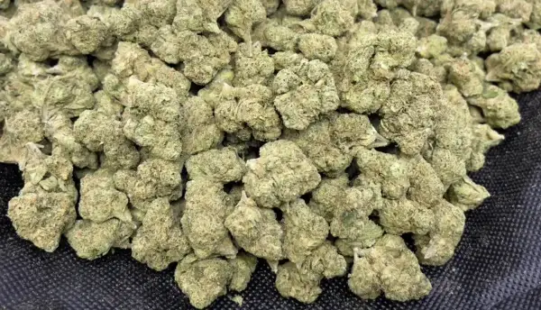 Blue Rhino