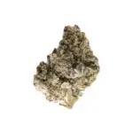 Pink Pineapple THCa Flower Sativa