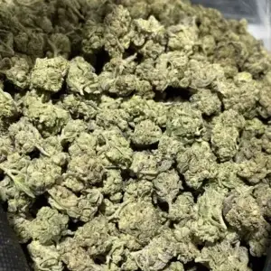 Piff Mints THCa Flower — Sativa — 29.35% — Light Dep - Image 2