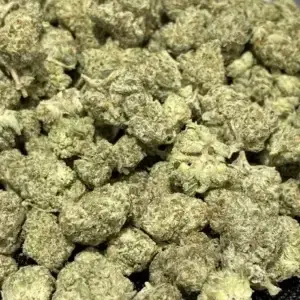 Oreoz THCa Flower Hybrid